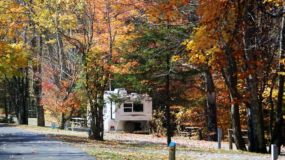 RV parked at a wooded campground in fall
